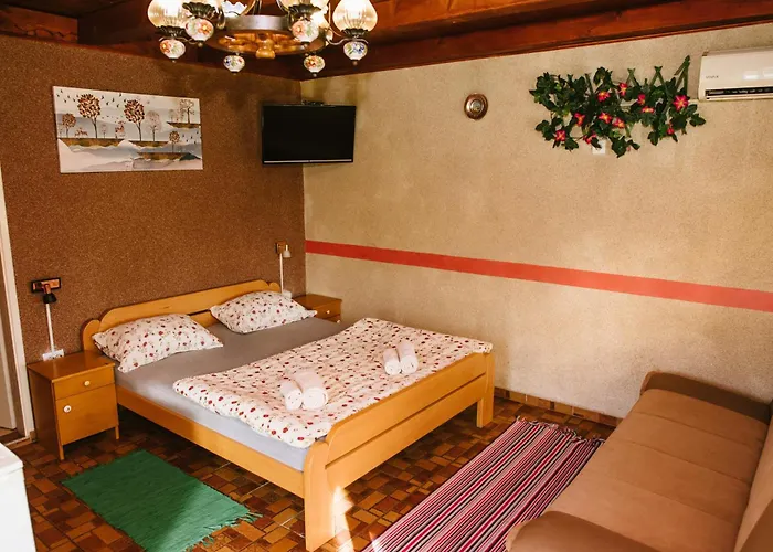 Sobe Tatjana منزل للإقامة Palić